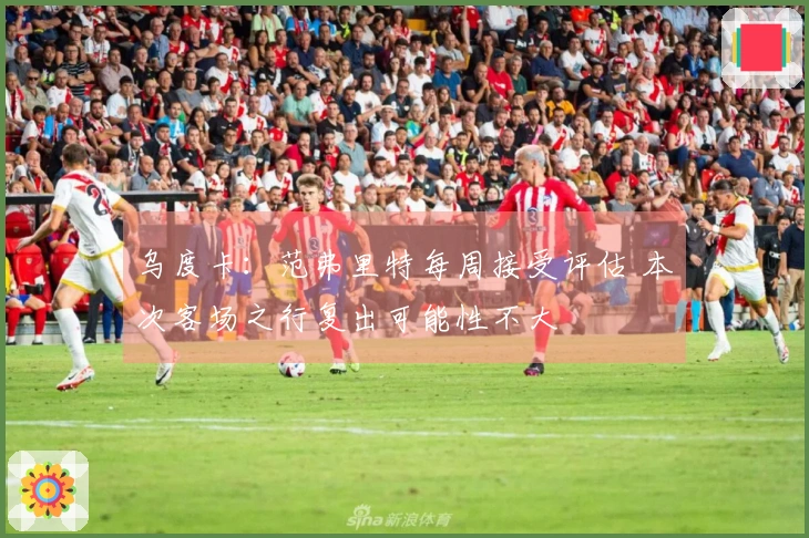 乌度卡：范弗里特每周接受评估 本次客场之行复出可能性不大